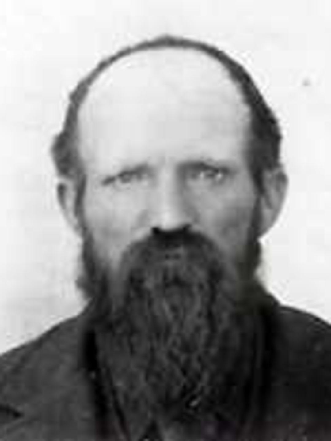 John Henderson Perkins (1842 - 1883) Profile